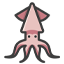 squid